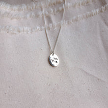 Load image into Gallery viewer, Joy & Strength Amulet | Flock of Birds & Evergreen Tree Double-Sided Necklace