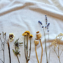 Load image into Gallery viewer, Dried flowers on a white fabric background, lavendar, gysophila, statice, poppy heads