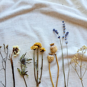 Dried flowers on a white fabric background, lavendar, gysophila, statice, poppy heads